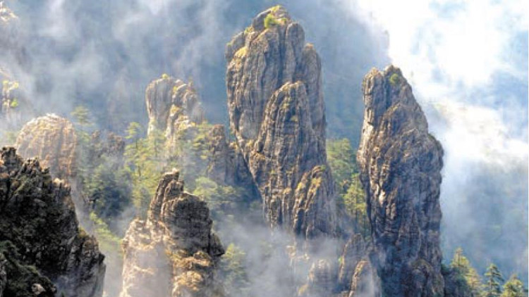 【萬(wàn)水千山總是情】神農(nóng)架：生態(tài)綠換來(lái)產(chǎn)業(yè)「金」