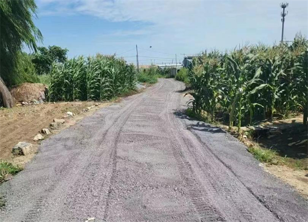 只花9萬多元！為村民「量身定製」出九項(xiàng)暖心惠民小工程