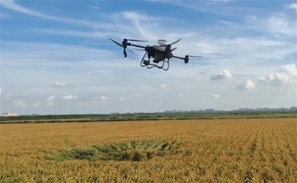 營口市大力推廣科學(xué)種植 確保全年糧食穩(wěn)產(chǎn)豐收