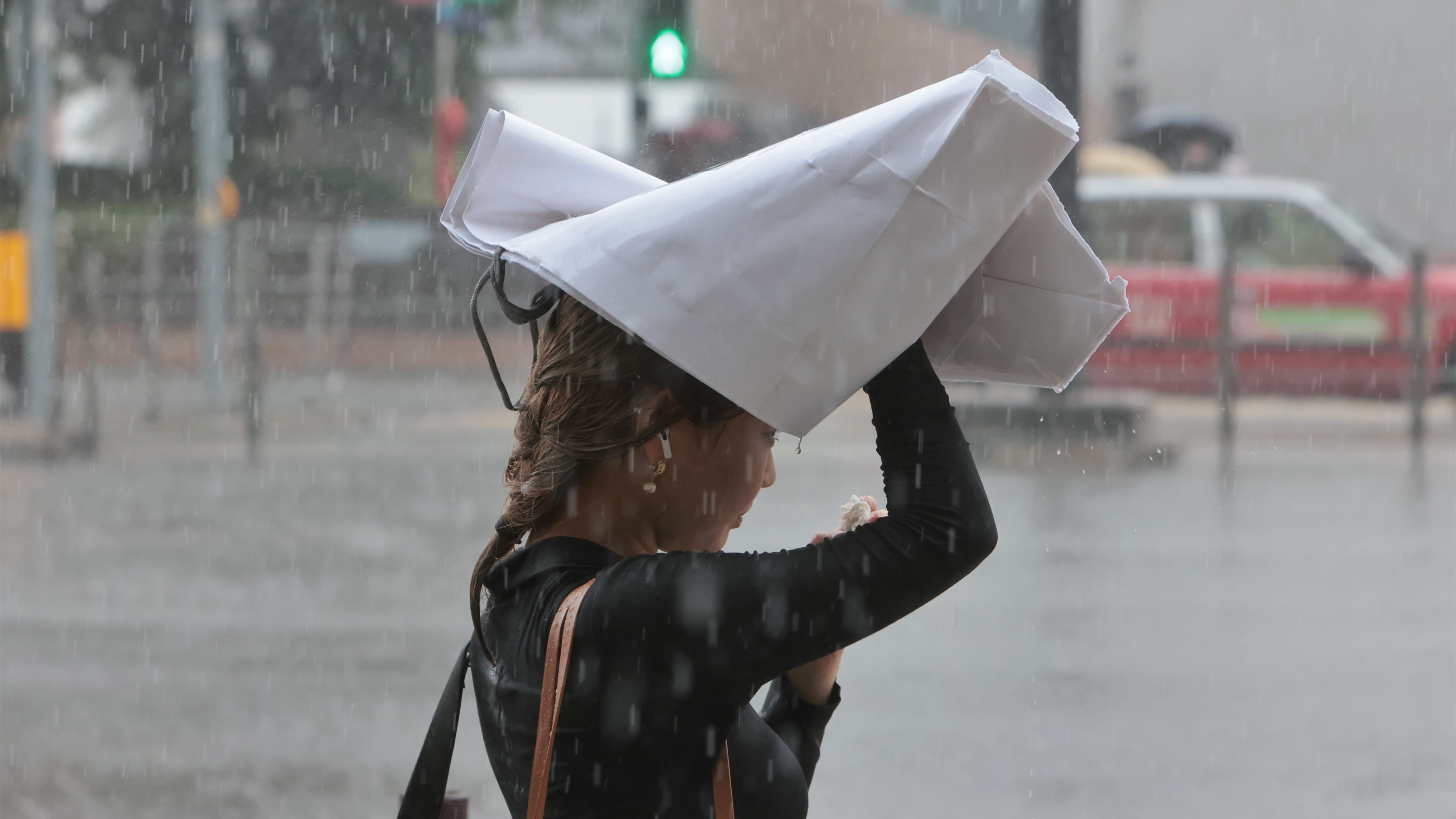 【商報時評】嚴(yán)陣以待 應(yīng)對「蘇拉」