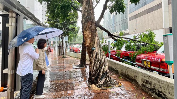 發(fā)展局展開颱風善後工作 巡視招牌棚架窗戶檢查樹木 免發(fā)生意外