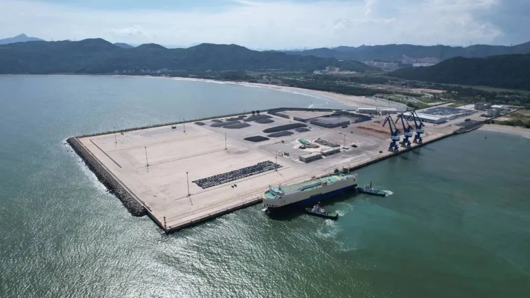 小漠國(guó)際物流港首次獨(dú)立包船出口1580輛汽車