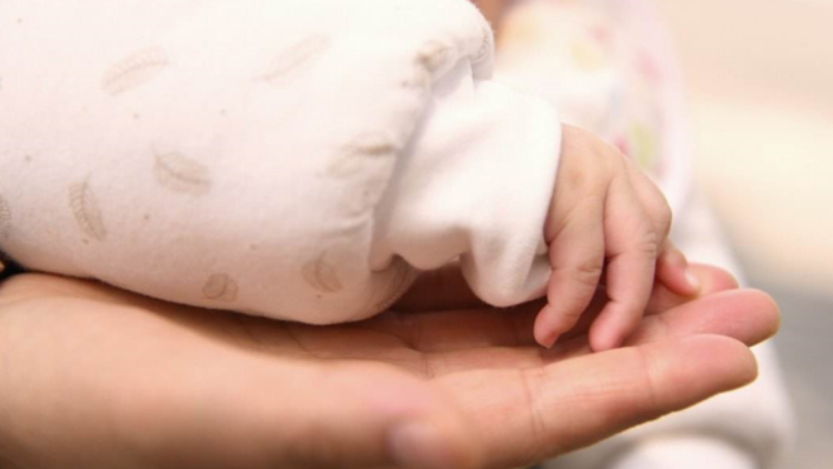 最新統(tǒng)計出爐！深圳新生兒名字這些字使用頻率高