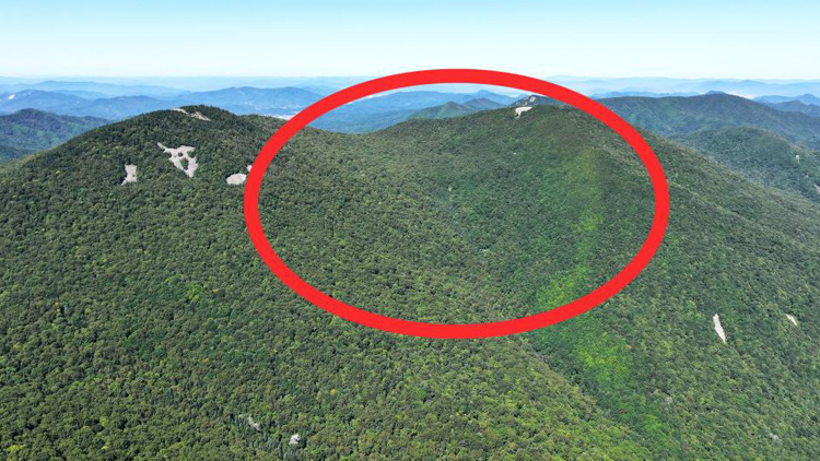 中國科學家第一次在高山上發(fā)現(xiàn)隕石坑