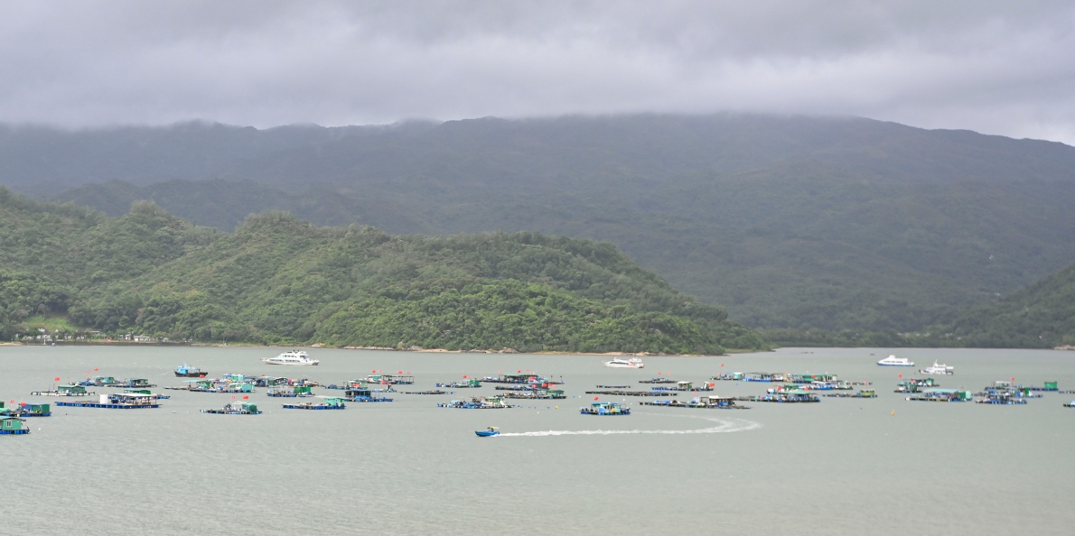 既有「硬聯(lián)通」 又有「軟銜接」 沙頭角深港國際消費合作區(qū)風生水起