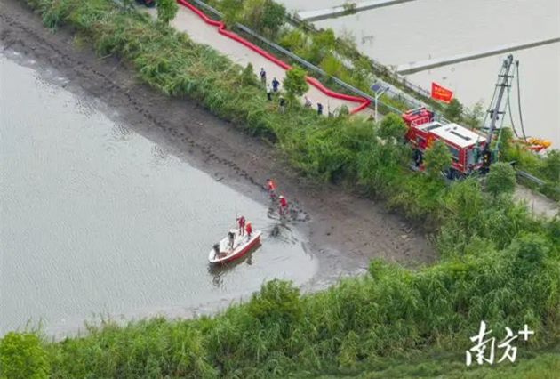 廣東茂名一養(yǎng)殖場多條鱷魚暴雨中出逃  已抓回36條
