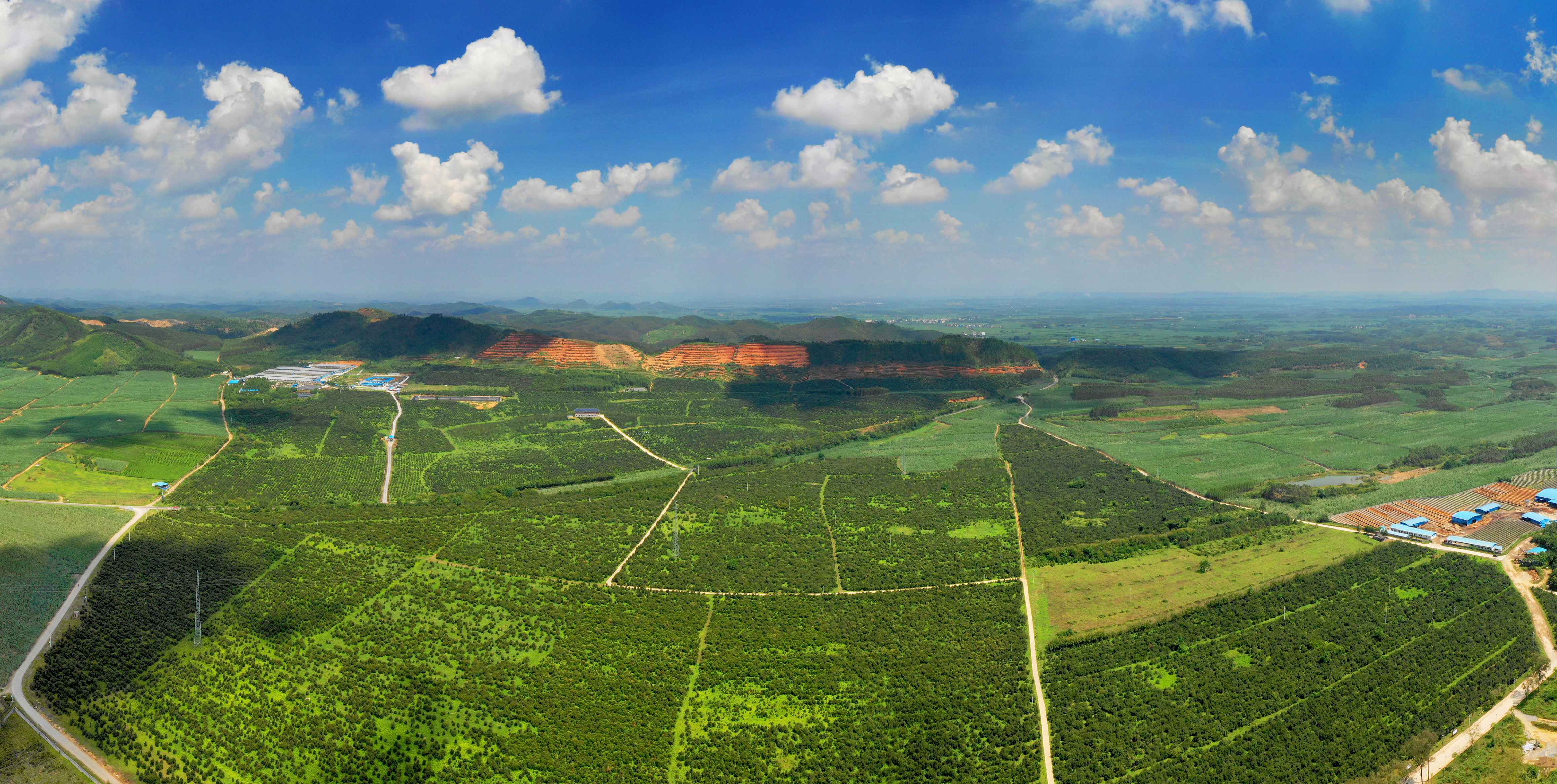 首屆中國(guó)（柳州）油茶交易博覽會(huì)將在廣西柳州舉辦