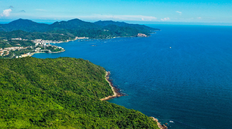 推動(dòng)打造海洋創(chuàng)新平臺(tái) 深圳發(fā)力建設(shè)「全球海洋中心城市」