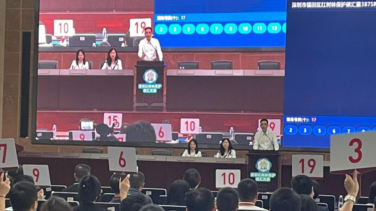 全國首單！深圳紅樹林不僅「吸」碳還可以「賣」碳