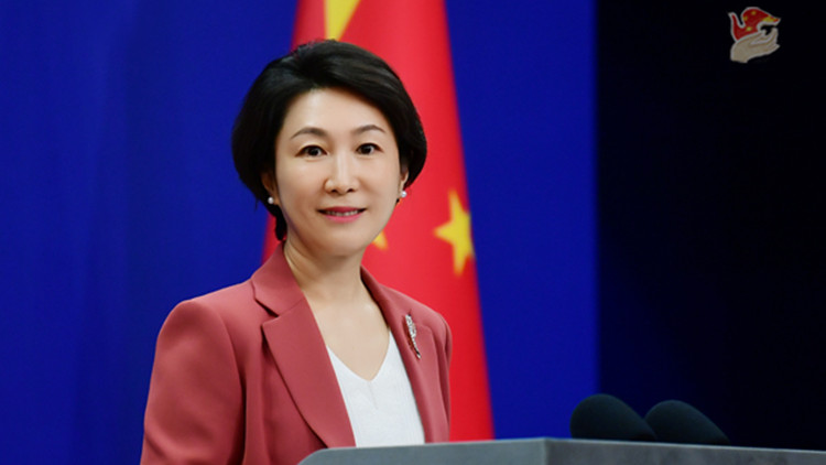 旅美大熊貓回國(guó)是否反映中美關(guān)係日益緊張？ 中方回應(yīng)