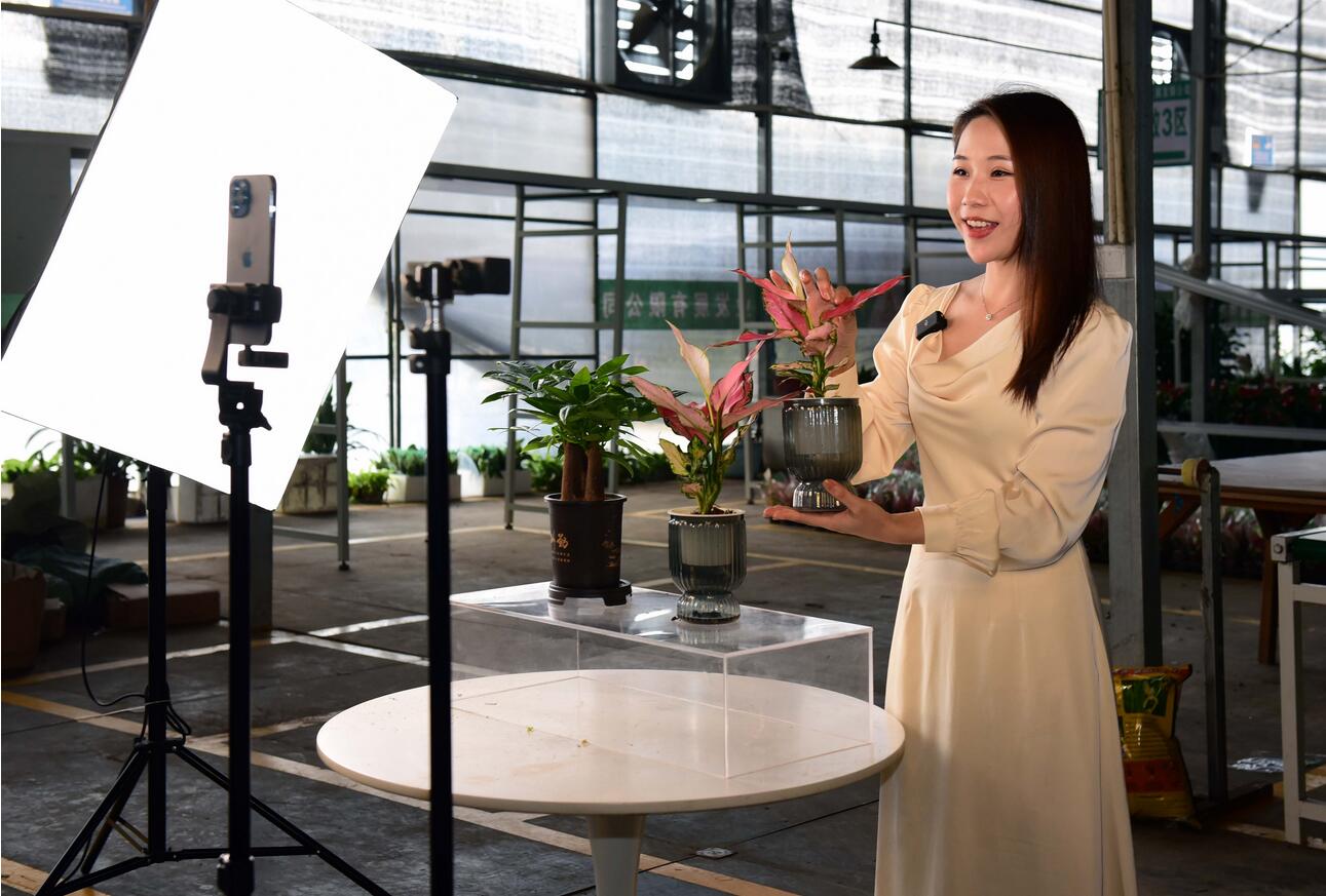 15小時(shí)，直播帶貨超億元！花都區(qū)數(shù)字農(nóng)業(yè)直播節(jié)啟動(dòng)