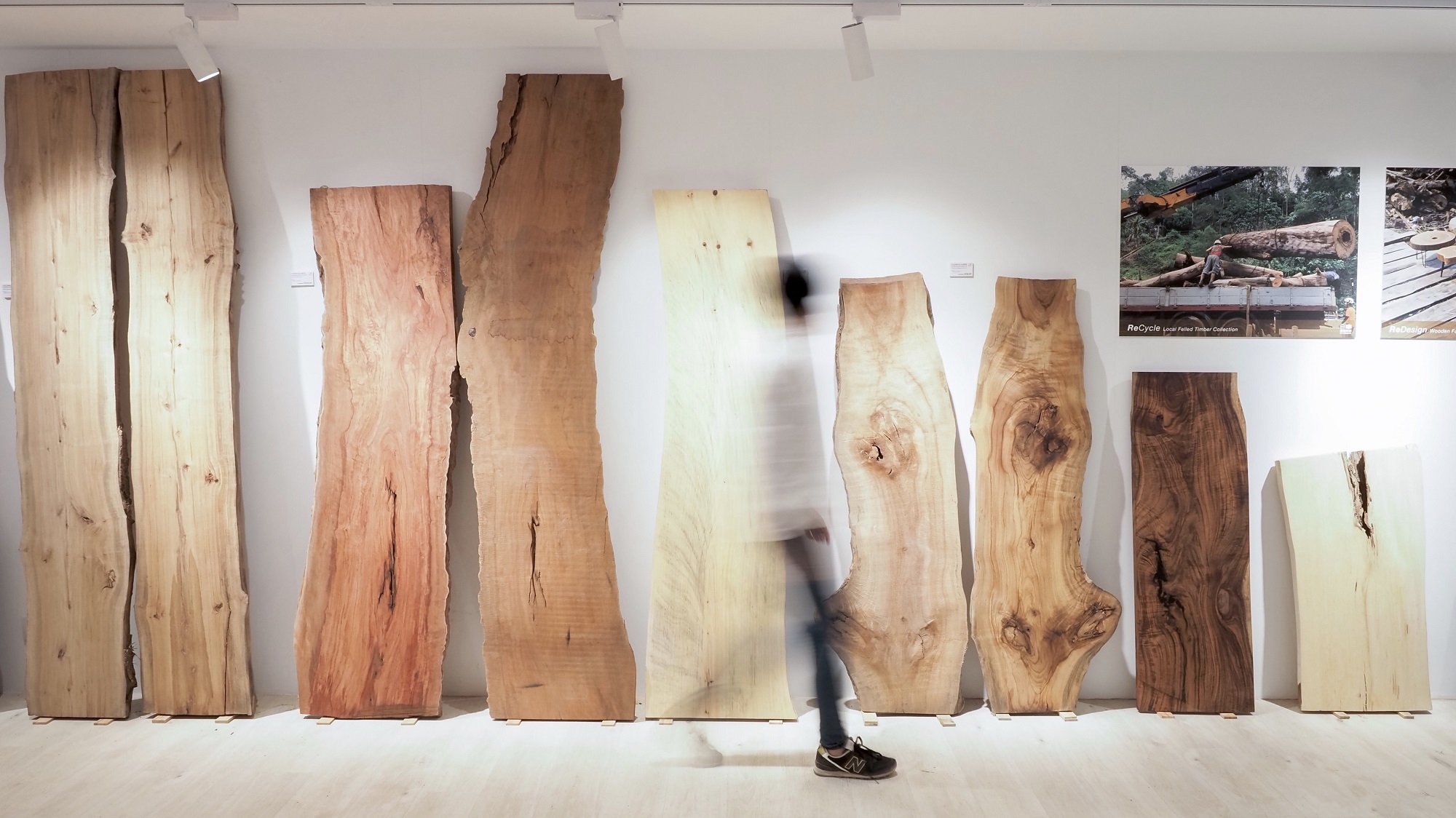 【玩樂(lè)】參觀木材倉(cāng)庫(kù) 了解回收過(guò)程