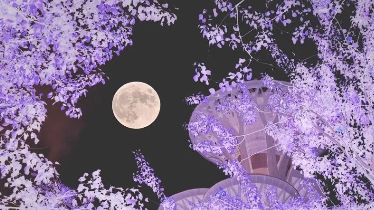 超級月亮刷屏朋友圈！深圳人，快看！