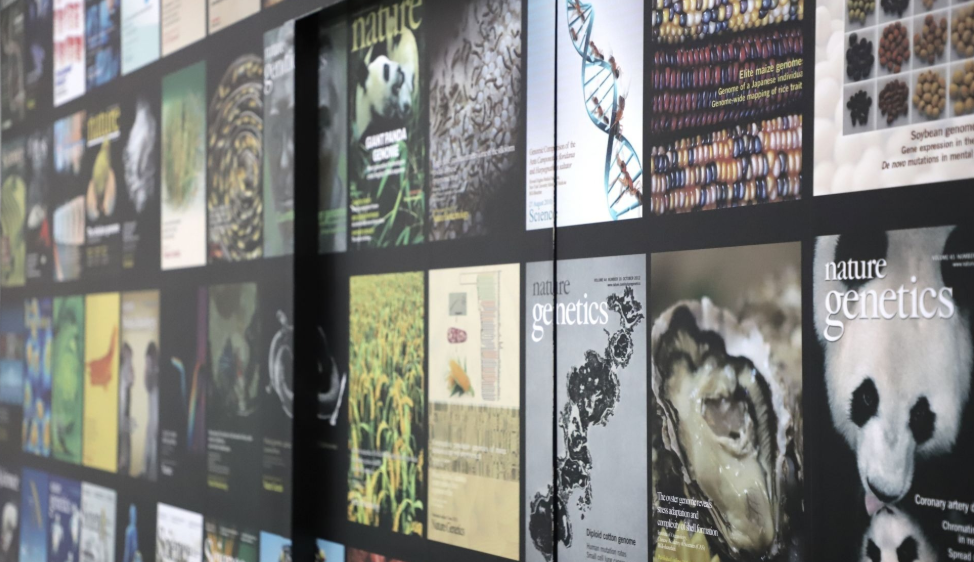 深圳企業(yè)獅城追光 躬行實(shí)踐講好「深圳故事」