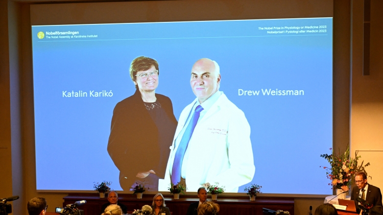 兩美國科學(xué)家獲諾貝爾醫(yī)學(xué)獎(jiǎng) 表揚(yáng)研發(fā)新冠疫苗貢獻(xiàn)