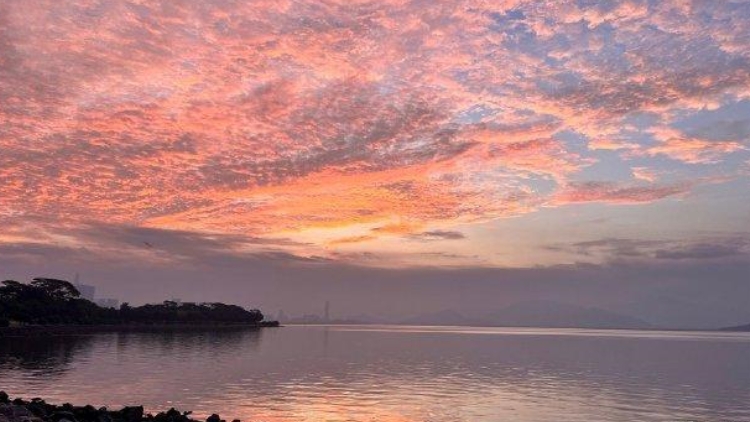 周末陽(yáng)光抓緊曬！下周降溫+陣雨即將抵深……