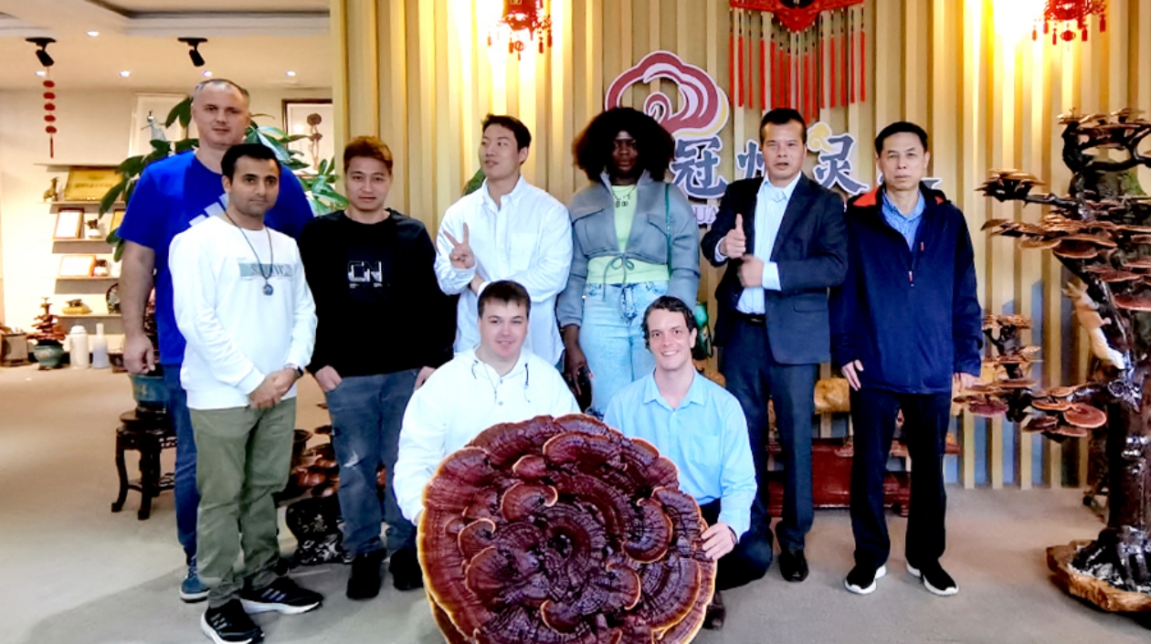 外眼看聊城丨品靈芝茶、嘗月餅……外國友人在山東聊城提前過中秋