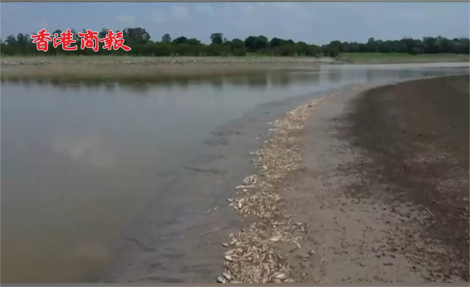 有片丨亞馬遜乾旱持續(xù)，巴西多城已降至「危險」水平