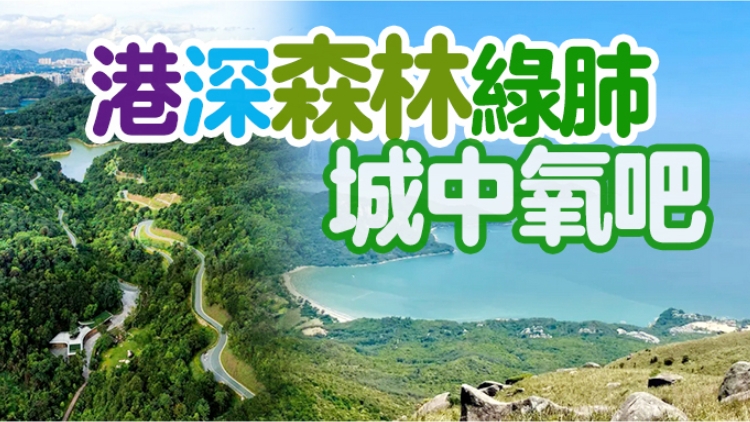 九九重陽節(jié)，快帶上父母來場港深登高之旅吧……
