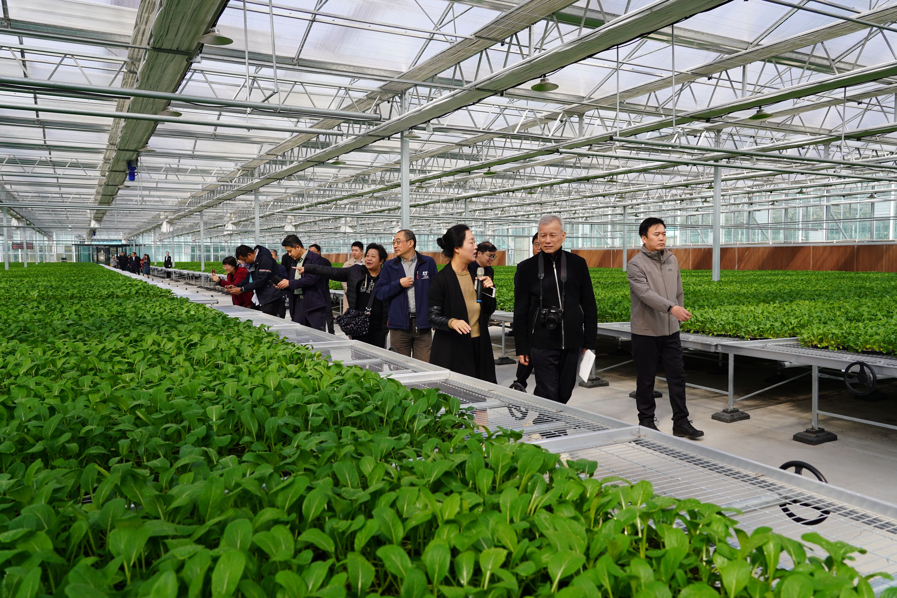 粵港澳大灣區(qū)主流媒體走進山西臨汾