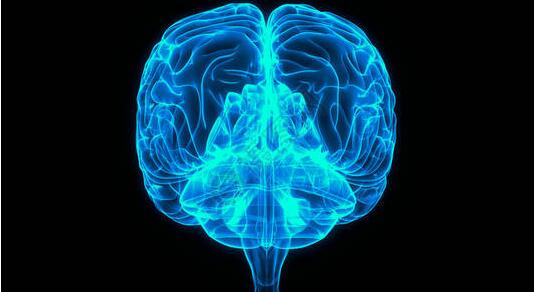 日本研究找到糖抑制痛覺(jué)的腦內(nèi)神經(jīng)機(jī)制 