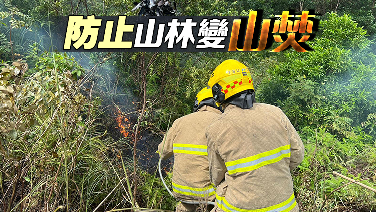 消防處接多宗山火報(bào)告 籲掃墓拜祭時勿留火種