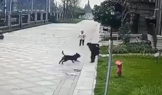 最新！成都崇州被狗咬傷女童已轉(zhuǎn)出ICU