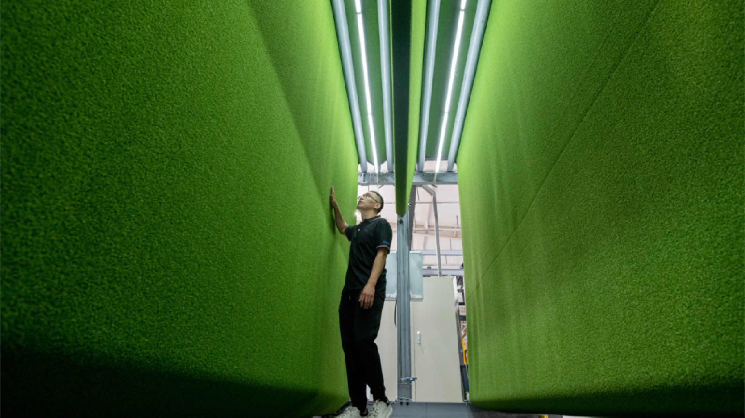 山東樂陵泰山集團(tuán)：10年「種草」121個(gè)共建「一帶一路」國(guó)家