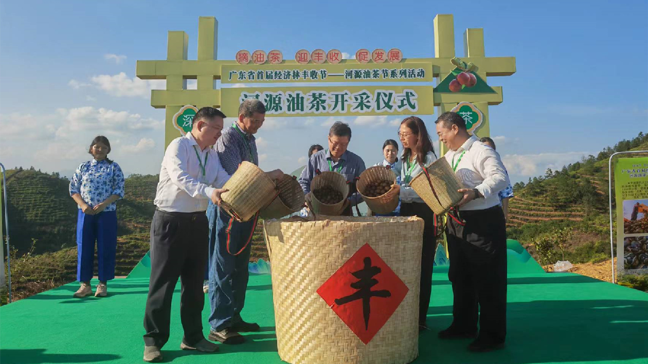 廣東省首屆經(jīng)濟林豐收節(jié)——河源油茶節(jié)系列活動正式啟動