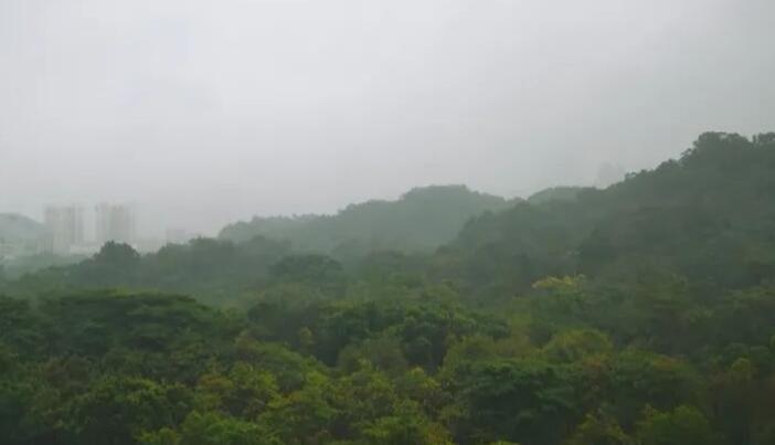 冷空氣正在趕來！最低氣溫降至21℃ 深圳能否成功入秋？