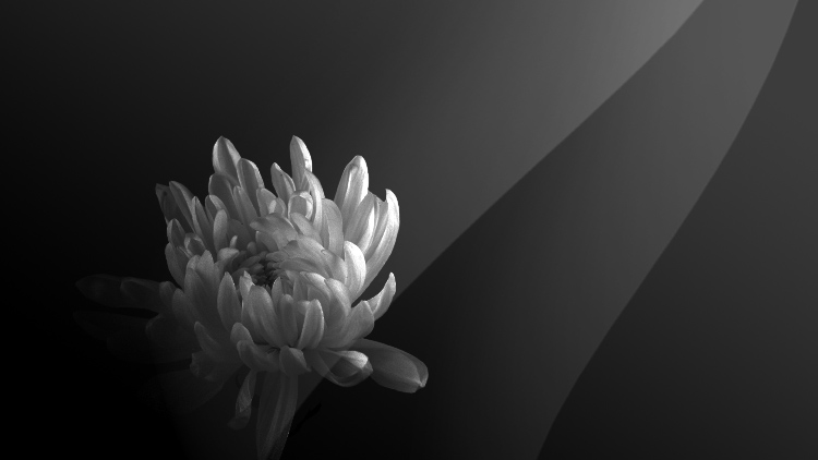 政總禮賓府及口岸管制站等2日下半旗誌哀 悼念已故國(guó)務(wù)院原總理李克強(qiáng)