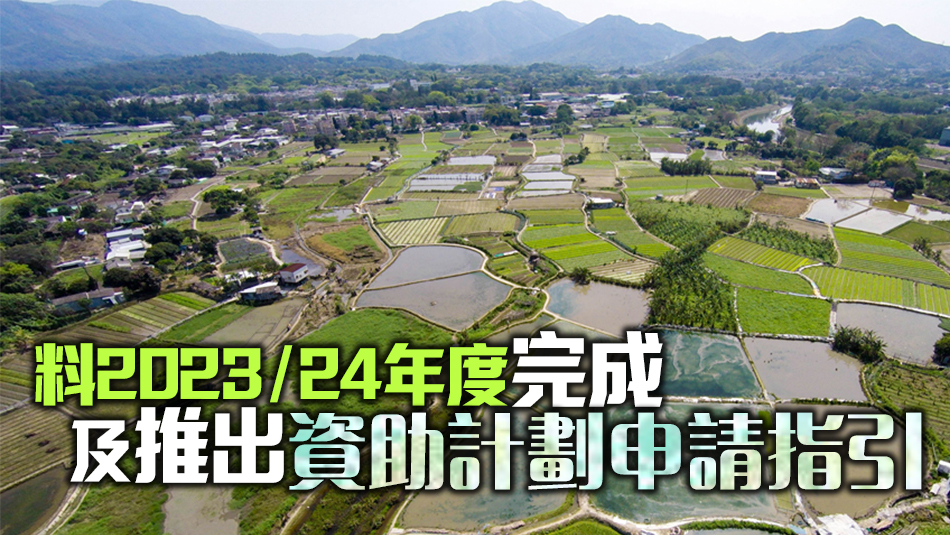 河上鄉(xiāng)及沙羅洞保育項目資助獲批 涉款2700萬