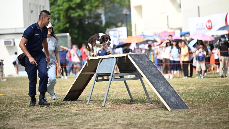 懲教署今日舉行秋季賣(mài)物會(huì) 吸引逾9000人入場(chǎng)