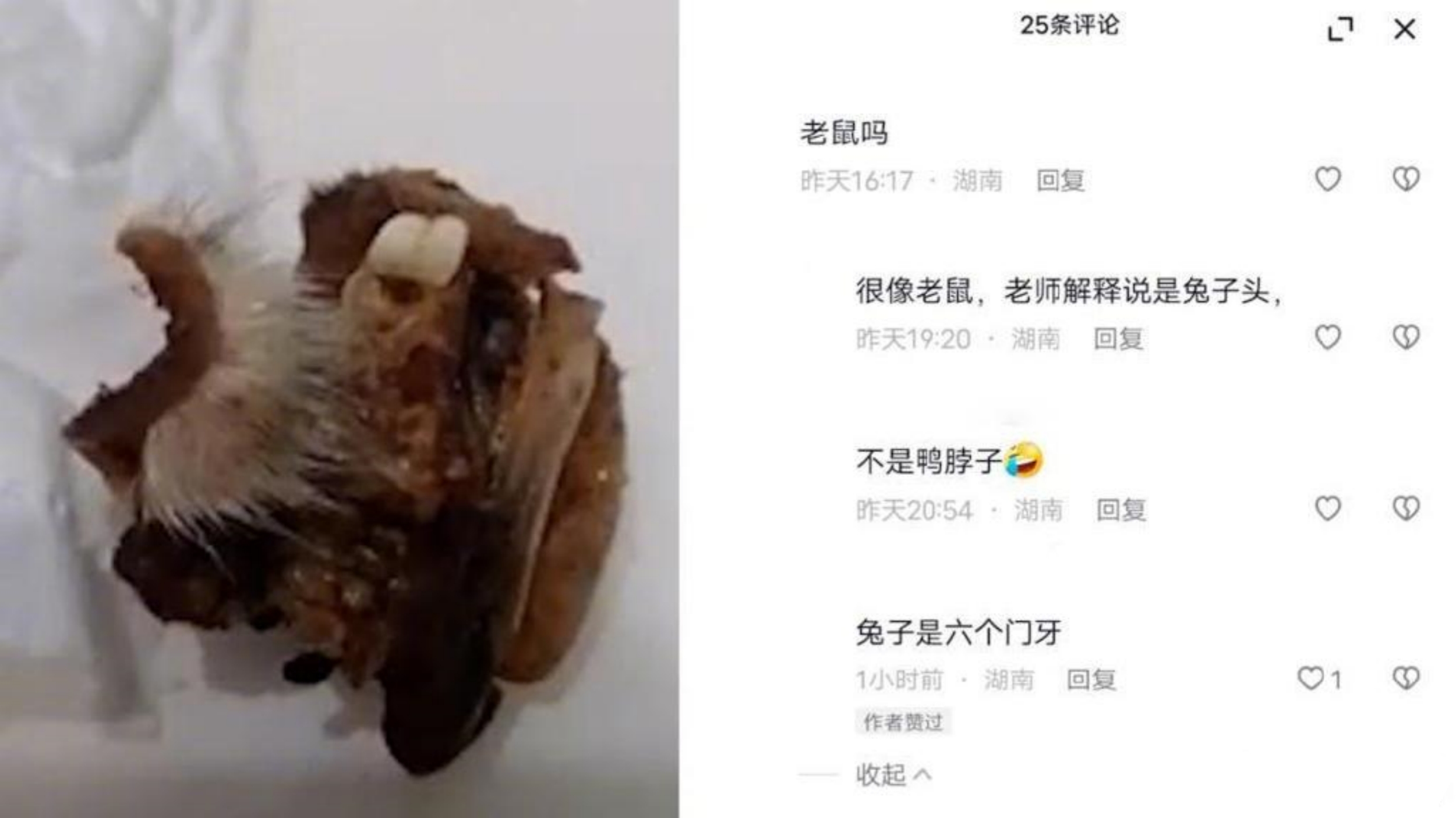 湖南懷化一小學(xué)食堂吃出「鼠頭」？當(dāng)?shù)爻闪⒙?lián)合調(diào)查組開展調(diào)查