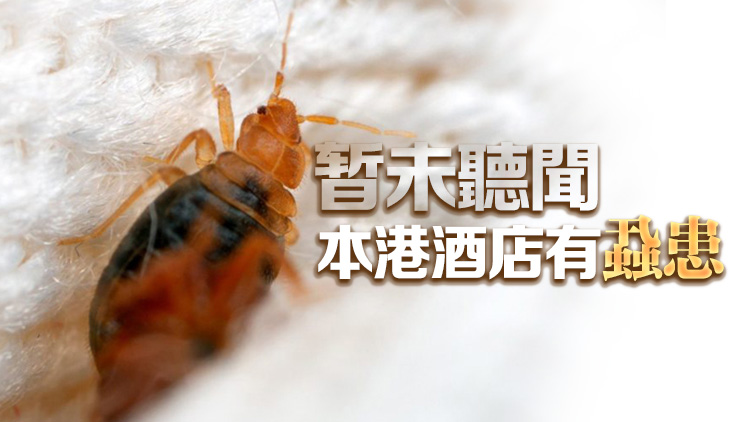 崔定邦：本港酒店房務(wù)清潔水準(zhǔn)高 毋須太擔(dān)心會出現(xiàn)床蝨