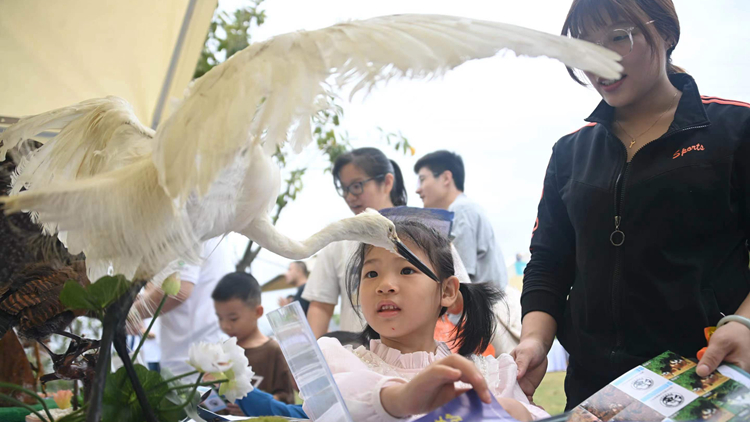 深圳啟動野生動物保護宣傳月活動：保護野生鳥類，共建綠美深圳
