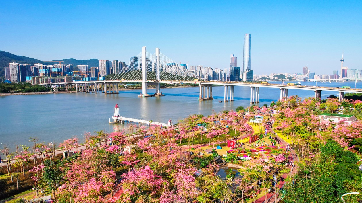 花海盛宴！橫琴第二屆「粵澳共此時(shí)」花海歡樂(lè)季開幕