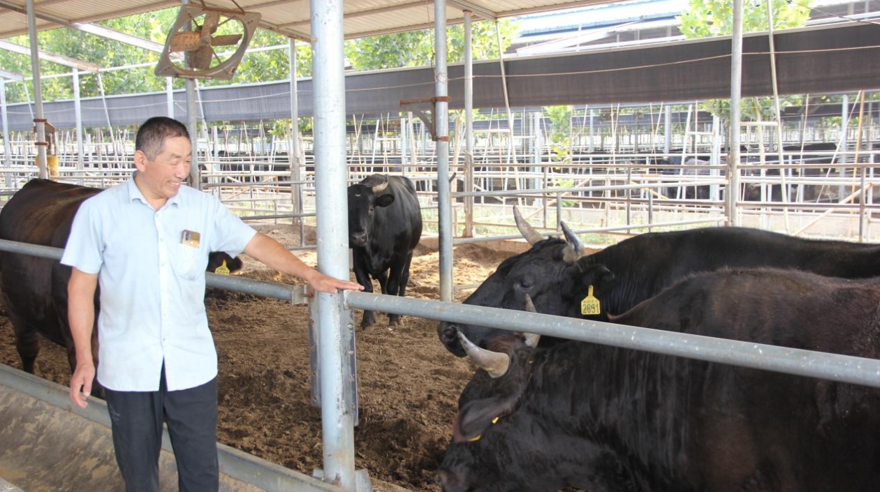 【粵港澳媒體看山東】如此牧業(yè)有點(diǎn)「?！? title=