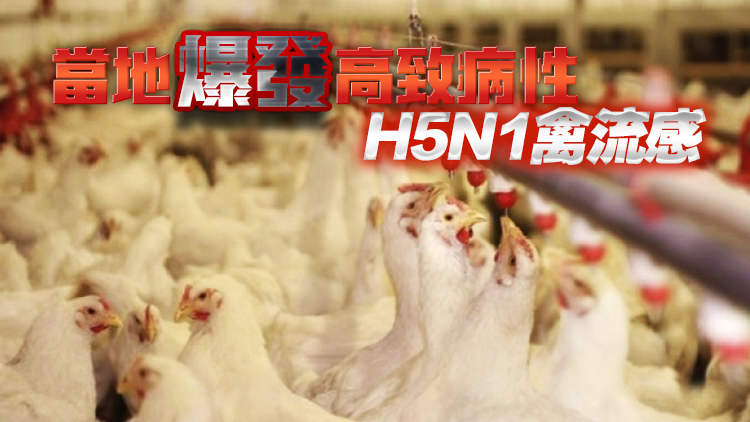 本港暫停進(jìn)口美國南達(dá)科他州Day縣禽肉及禽類產(chǎn)品