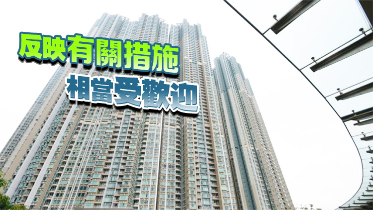 羅淑佩：截至6日稅務(wù)局收到230宗置業(yè)印花稅「先免後徵」申請(qǐng)