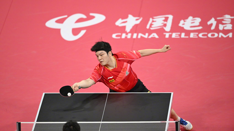 祝賀！混團世界盃國乒奪冠