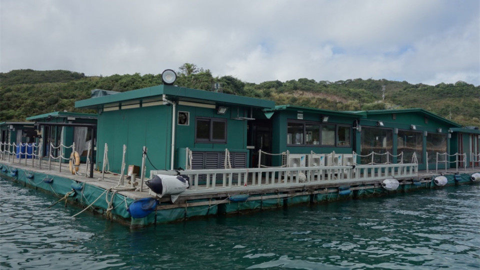 漁護署：新增四魚類養(yǎng)殖區(qū) 黃竹角海大鵬灣13日啓用