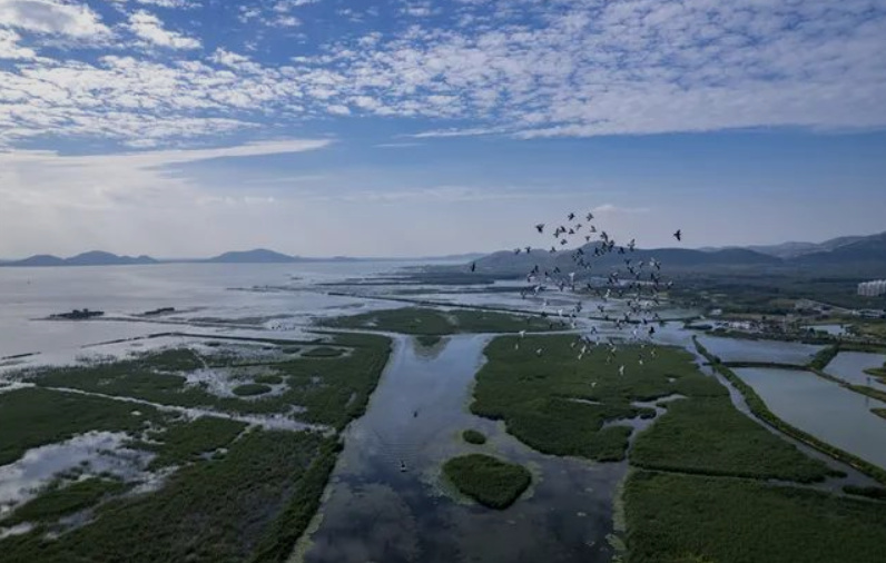 山東支持泰安建設(shè)黃河流域生態(tài)保護(hù)和高質(zhì)量發(fā)展先行區(qū)