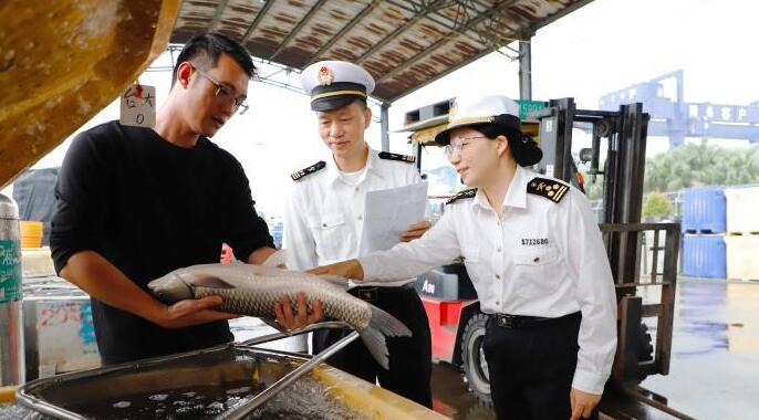 前11個(gè)月廣東對(duì)澳門進(jìn)出口達(dá)140.4億元