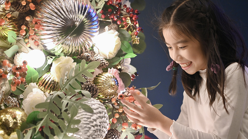 環(huán)保署回收天然聖誕樹 下月3日至7日進(jìn)行