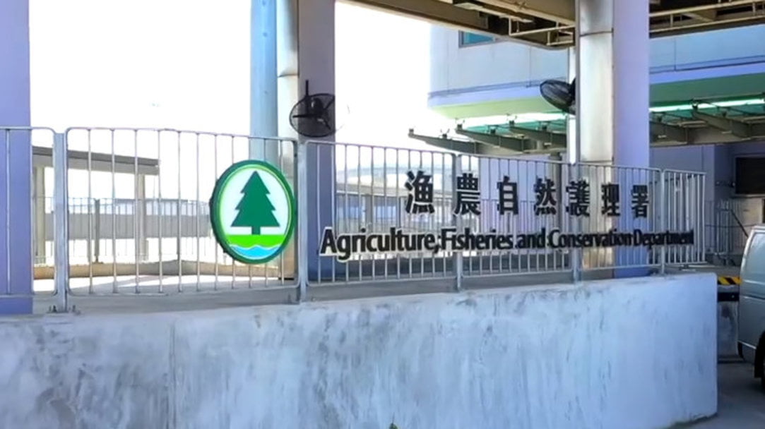 漁護(hù)署：綠翅鴨屍體對(duì)H5N1禽流感呈陽性反應(yīng)