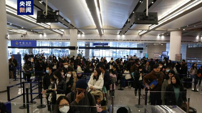 單日1.6萬(wàn)輛次！港珠澳大橋珠海公路口岸車(chē)輛19次刷新歷史紀(jì)錄