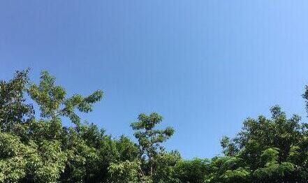 中央氣象臺(tái)：冷空氣勢(shì)力不強(qiáng)大部地區(qū)氣溫回升 華北黃淮等地有霾天氣