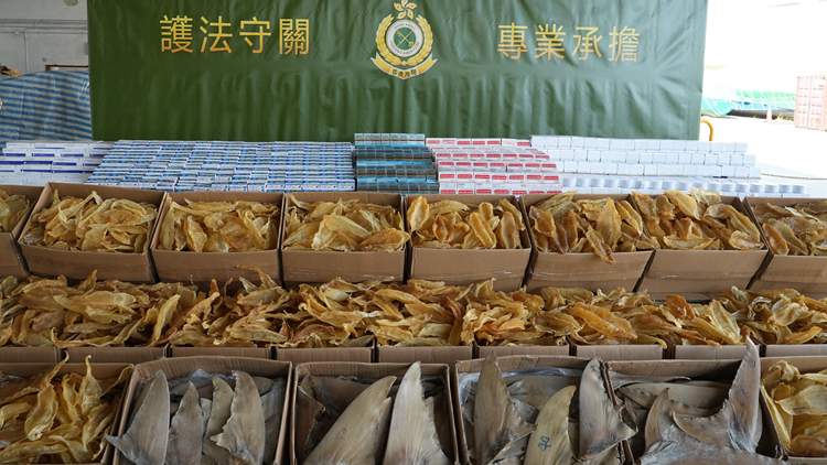 海關(guān)葵涌偵破以遠(yuǎn)洋船走私貨物案 檢值600萬花膠魚翅等