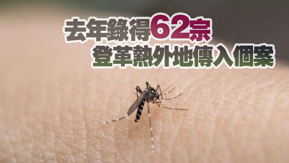 衞生防護(hù)中心最新錄得一宗登革熱個(gè)案 病人曾到斯里蘭卡